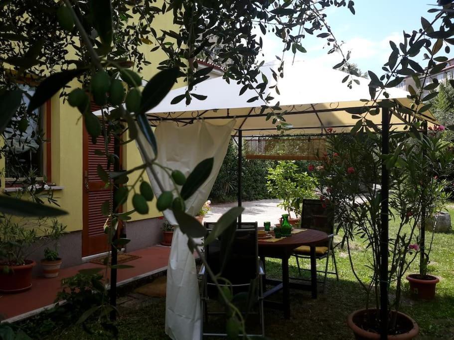 Studio With Garden Near The Sea Koper Exterior photo